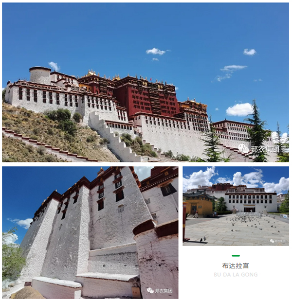 信仰之旅 榮耀之約——中原邦農集團2021西藏王者之旅品鑒