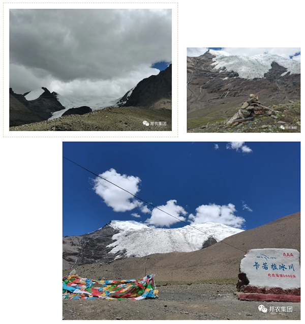 信仰之旅 榮耀之約——中原邦農集團2021西藏王者之旅品鑒
