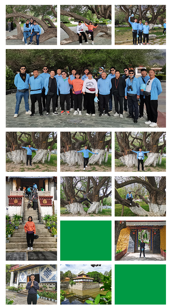 信仰之旅 榮耀之約——中原邦農集團2021西藏王者之旅品鑒