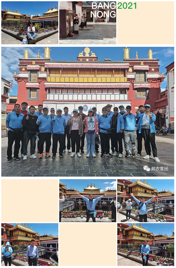 信仰之旅 榮耀之約——中原邦農集團2021西藏王者之旅品鑒