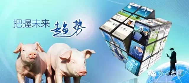 【中原邦農(nóng)】未來3~5年，誰還在養(yǎng)豬，誰還能養(yǎng)豬？