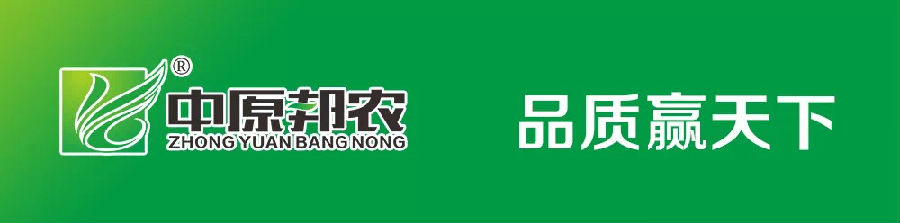 熔煉團隊 共贏未來丨大區經理2020烽狼特訓拓展活動完美落幕
