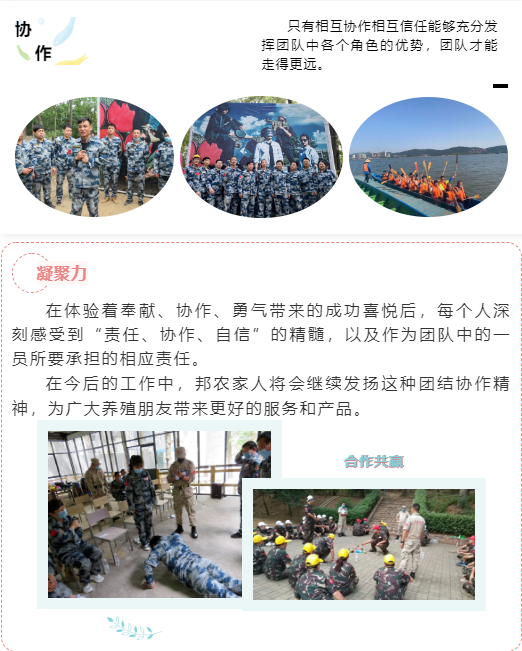 熔煉團隊 共贏未來丨大區經理2020烽狼特訓拓展活動完美落幕